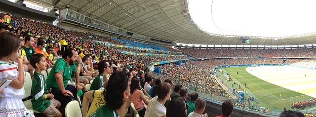 日本国奥需